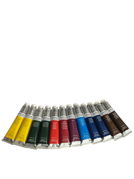 Set Deluxe: cavalletto studio, 4 tele + cornice 50x70 + 12 colori + vernice finale + 5 pennelli