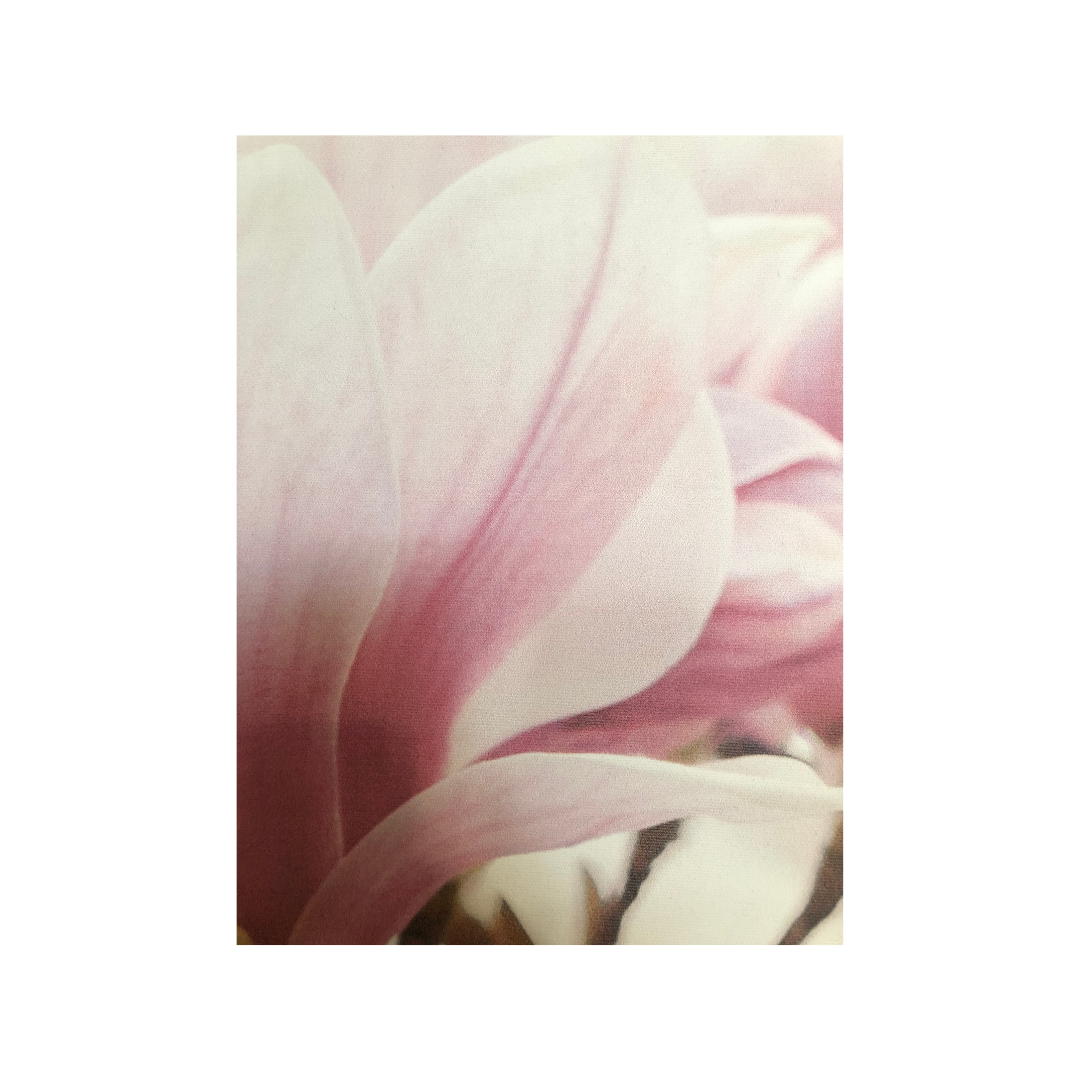 Stampa su tela - Magnolia - 50x125